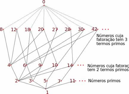 decomponha os numeros