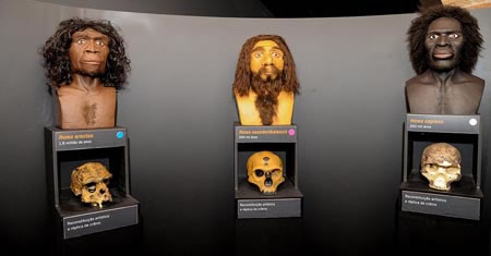 Exposição do Macaco ao Homem, Museu Catavento